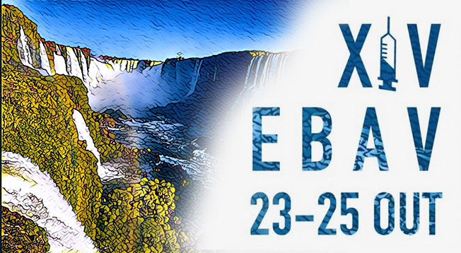 XIII EAV - Rio de Janeiro (RJ)