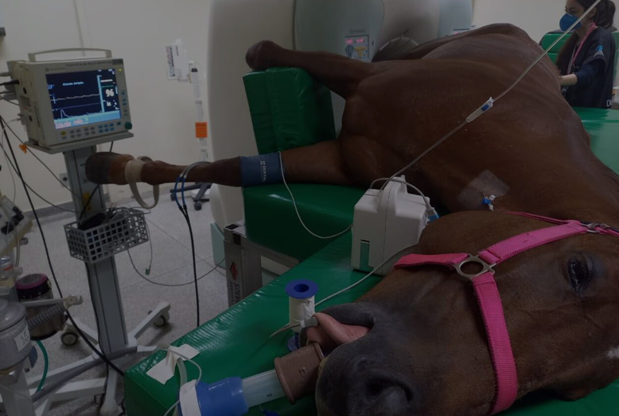 Título de Especialista 2025